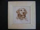 7001. Motiv hund med ramme