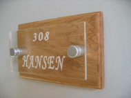 869 Plexi / Eikeplate